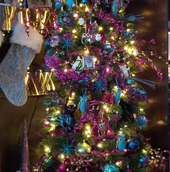 Meet your Posher, Heidi - Picture 1 of 1